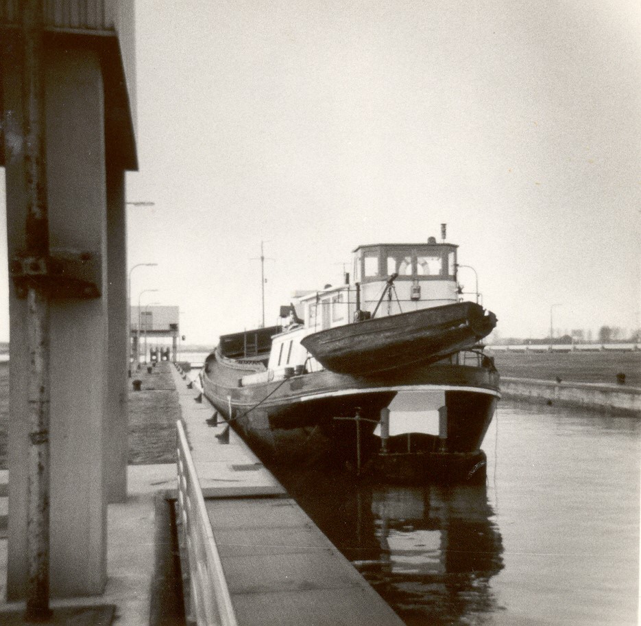 Foto.